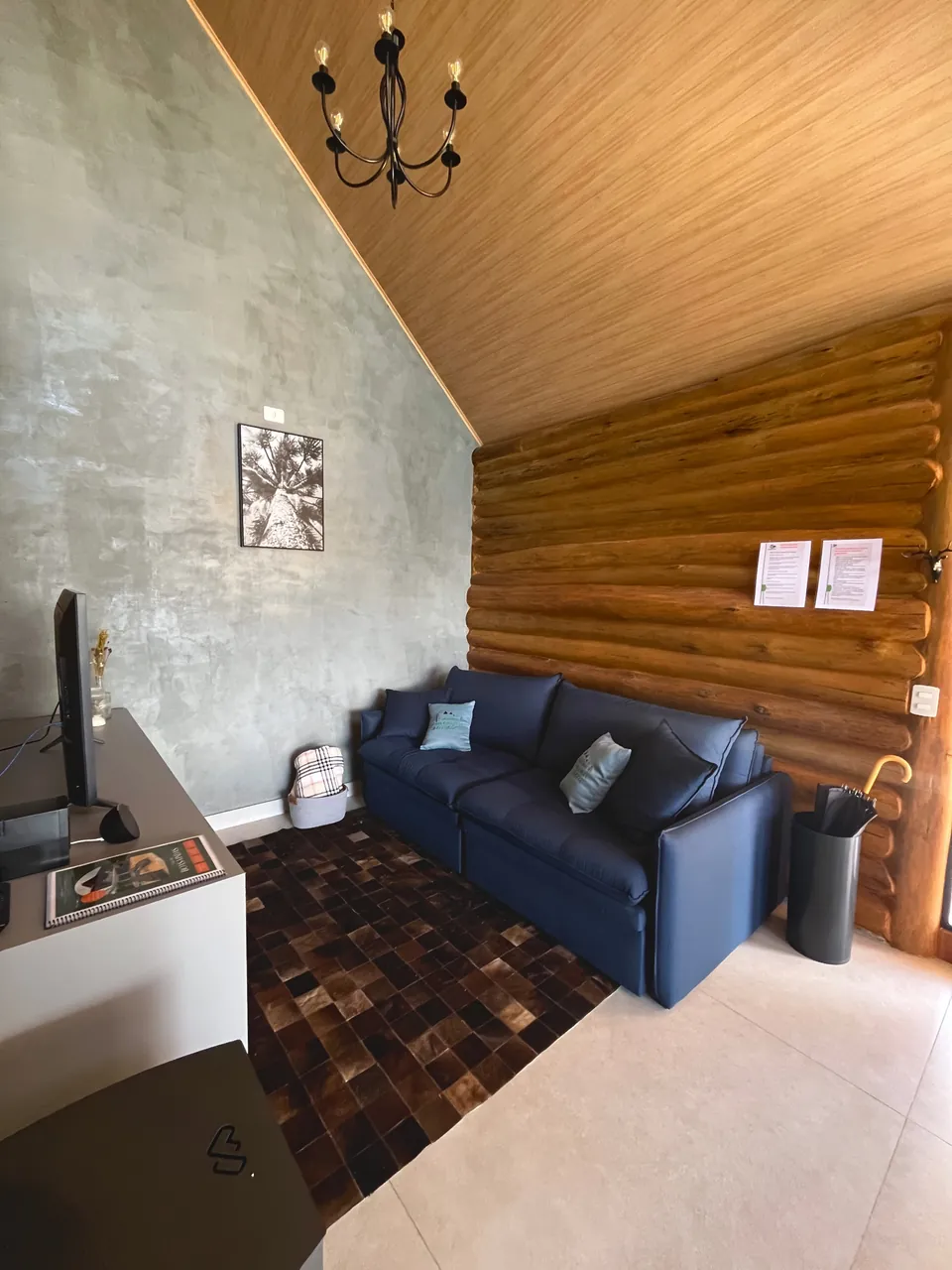 Sala da Araucárias com sofá azul, tapete de couro e parede de troncos.
